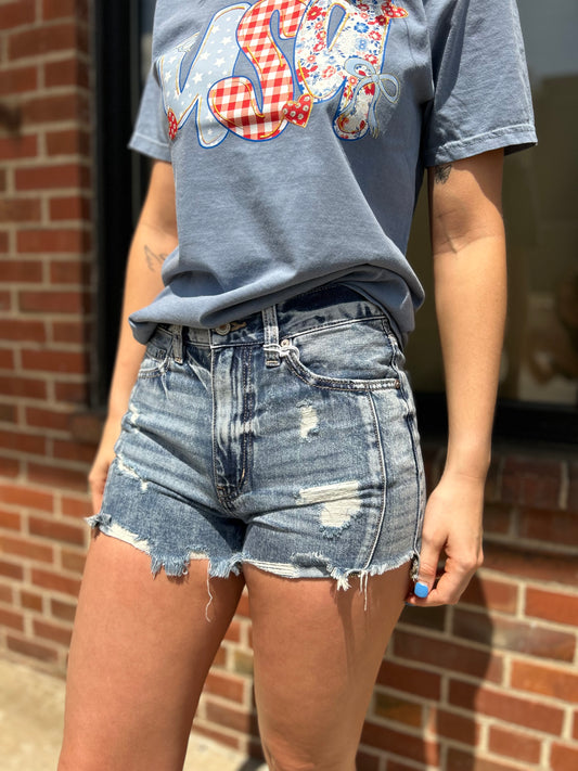 High Rise Distressed Denim Shorts