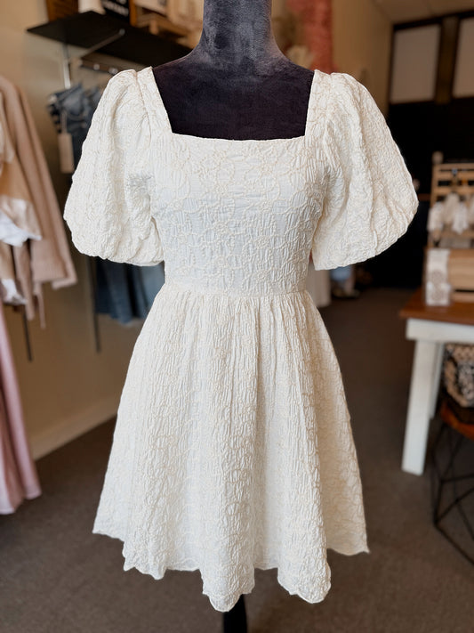 Main Street Embroidered Mini Dress